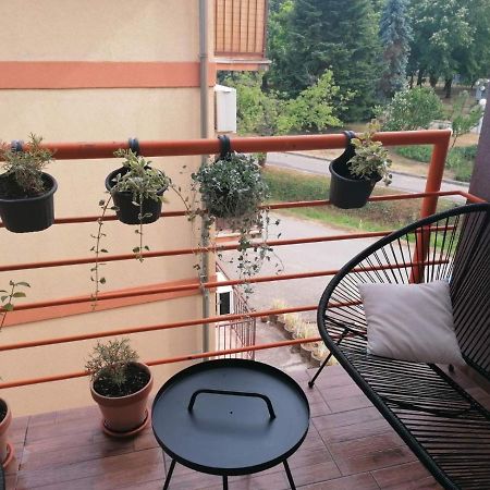 Koko Apartman Vrnjačka Banja エクステリア 写真