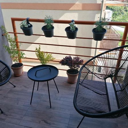 Koko Apartman Vrnjačka Banja エクステリア 写真