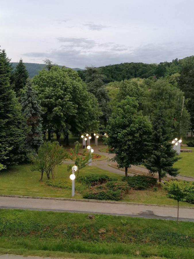 Koko Apartman Vrnjačka Banja エクステリア 写真