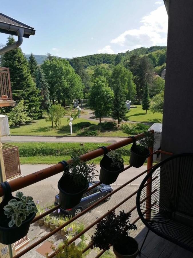 Koko Apartman Vrnjačka Banja エクステリア 写真