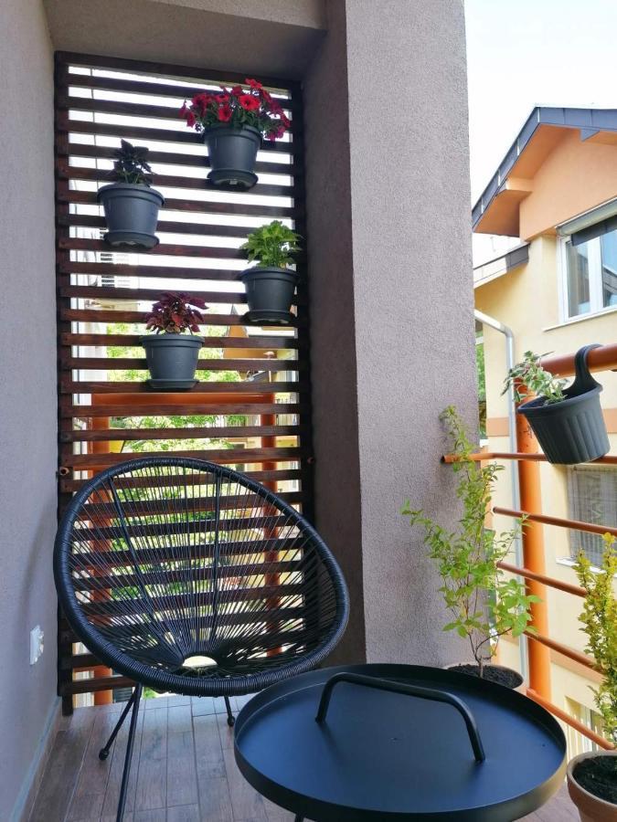 Koko Apartman Vrnjačka Banja エクステリア 写真