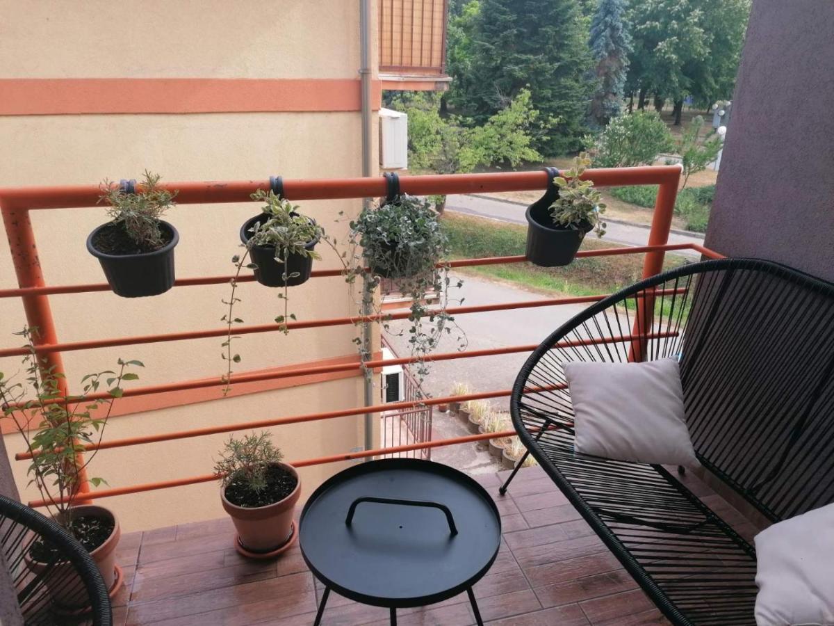 Koko Apartman Vrnjačka Banja エクステリア 写真
