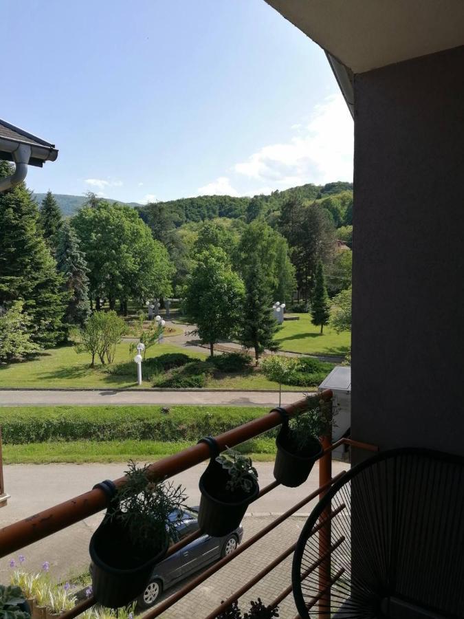 Koko Apartman Vrnjačka Banja エクステリア 写真