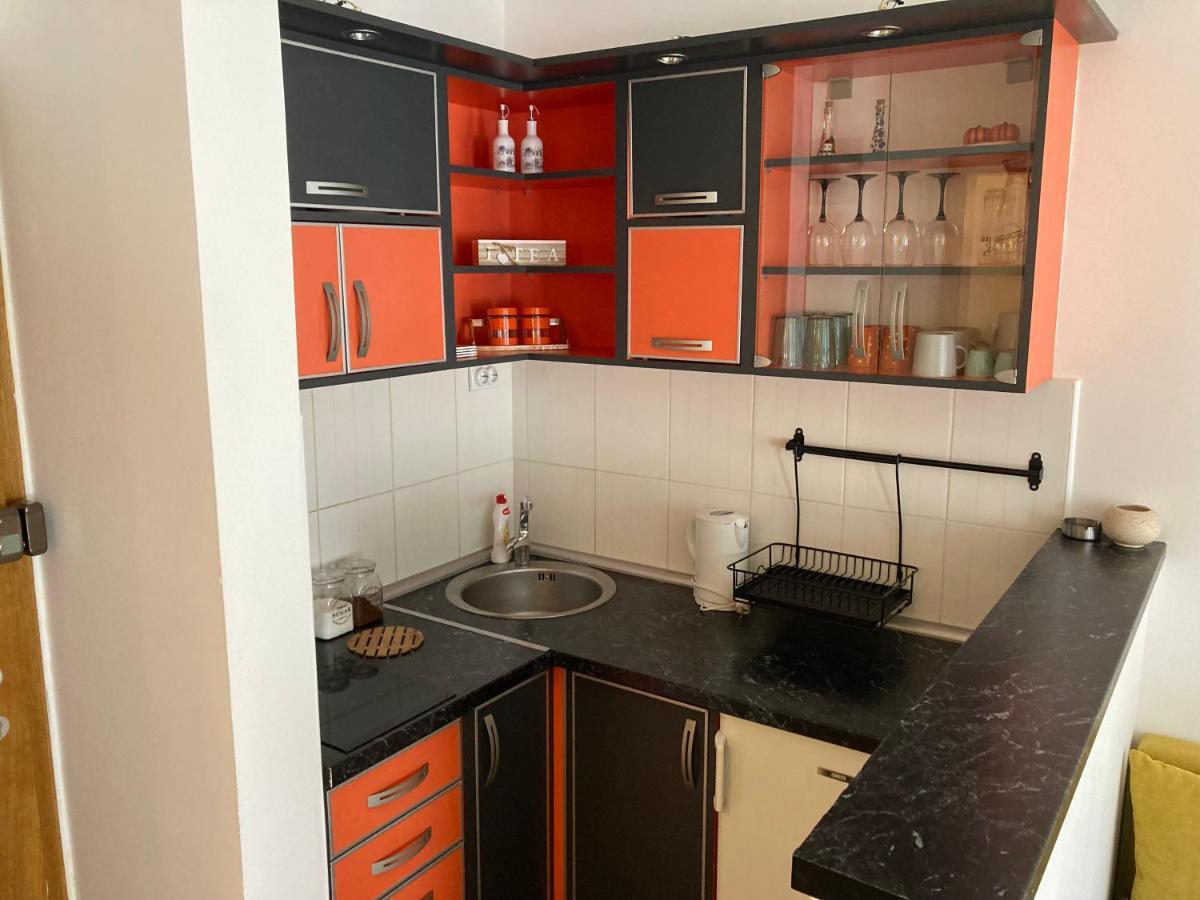 Koko Apartman Vrnjačka Banja エクステリア 写真